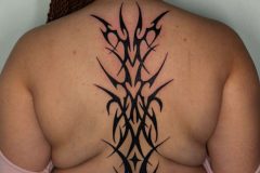 IMG_4047-scaled